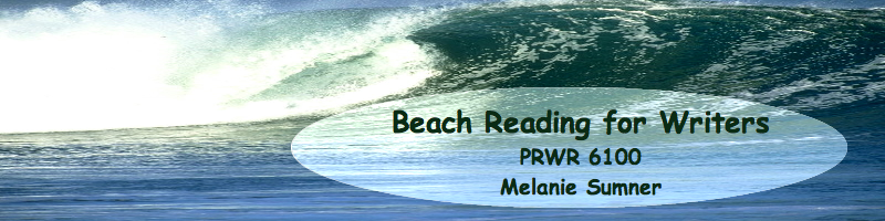 Beach Reading for Writers