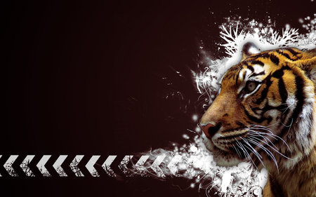 [Bengal+Tiger+Wallpaper34.jpg]