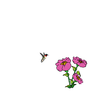 Animated Clip Art: Flower Animated Clipart Gallery