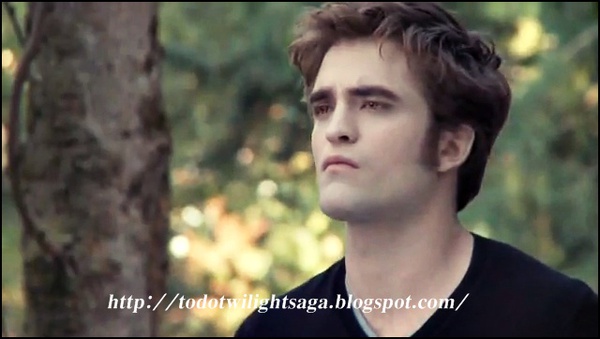 [74474474-f93038cd5d6c74014f906d6fbd2a79e2_4b9bbd5a-scaled.jpg]