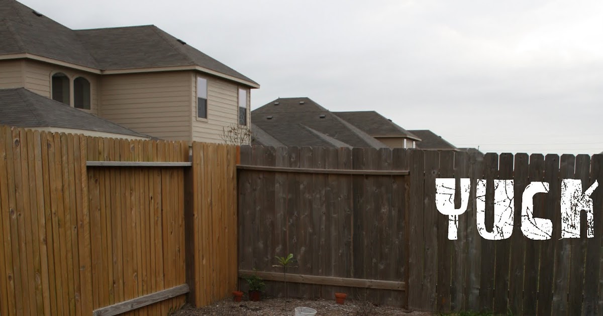 I Choose Joy!: Backyard Crashers!
