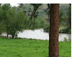 Riverfront Property in Idaho