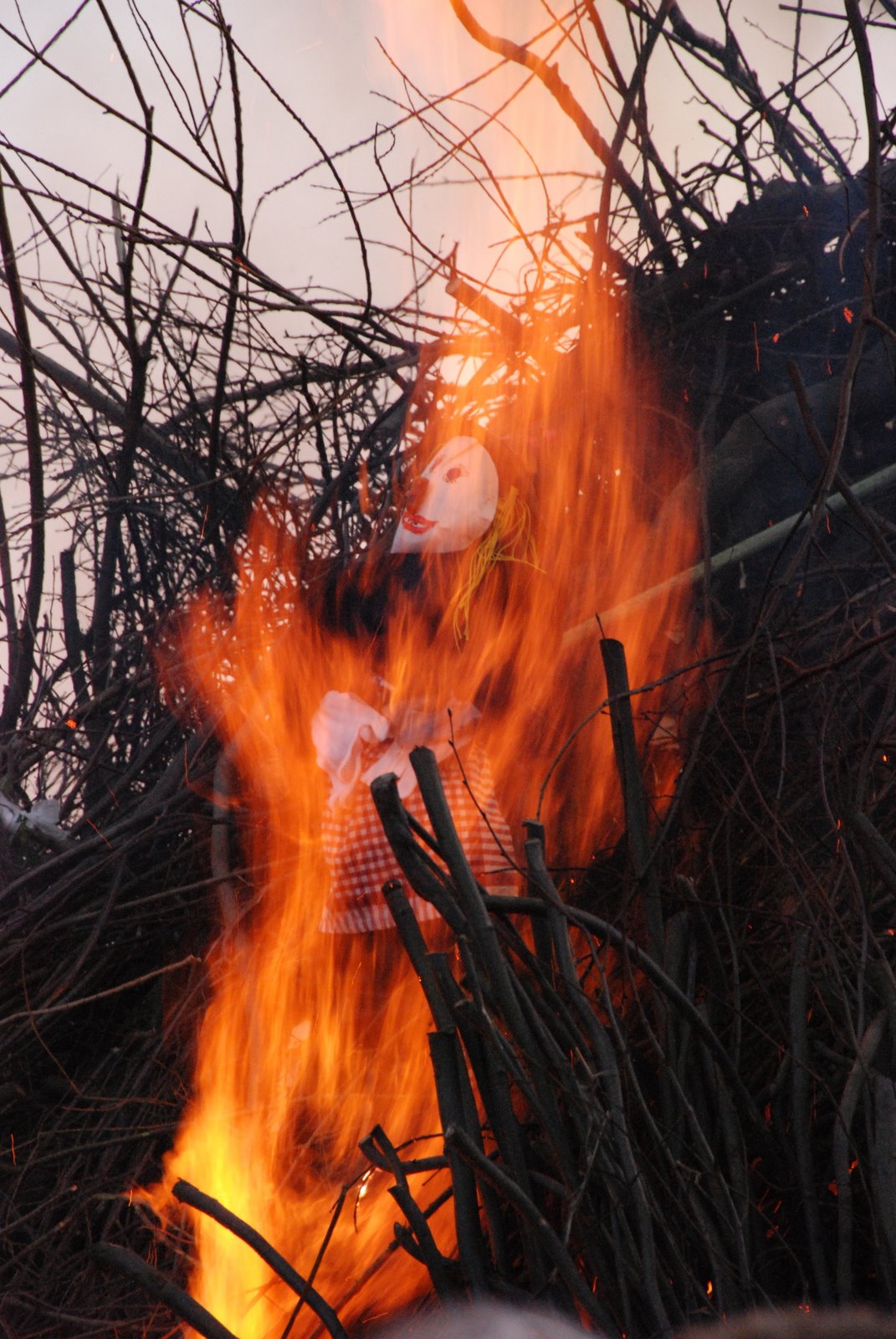 [DSC_0143.JPG]