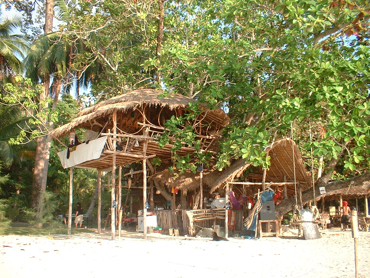 [DSCF0010.JPG]