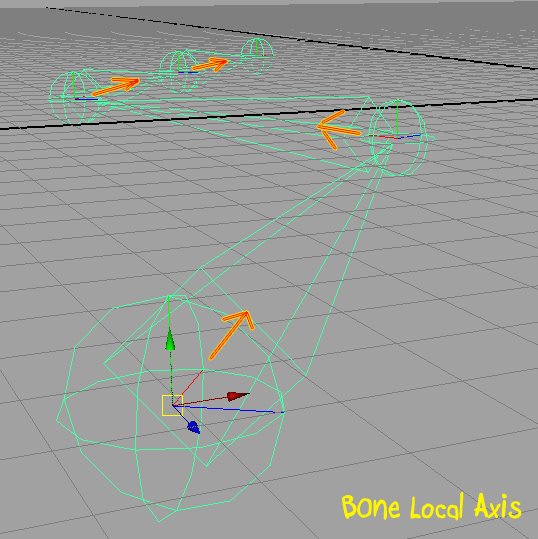 [Bone+Axis.jpg]