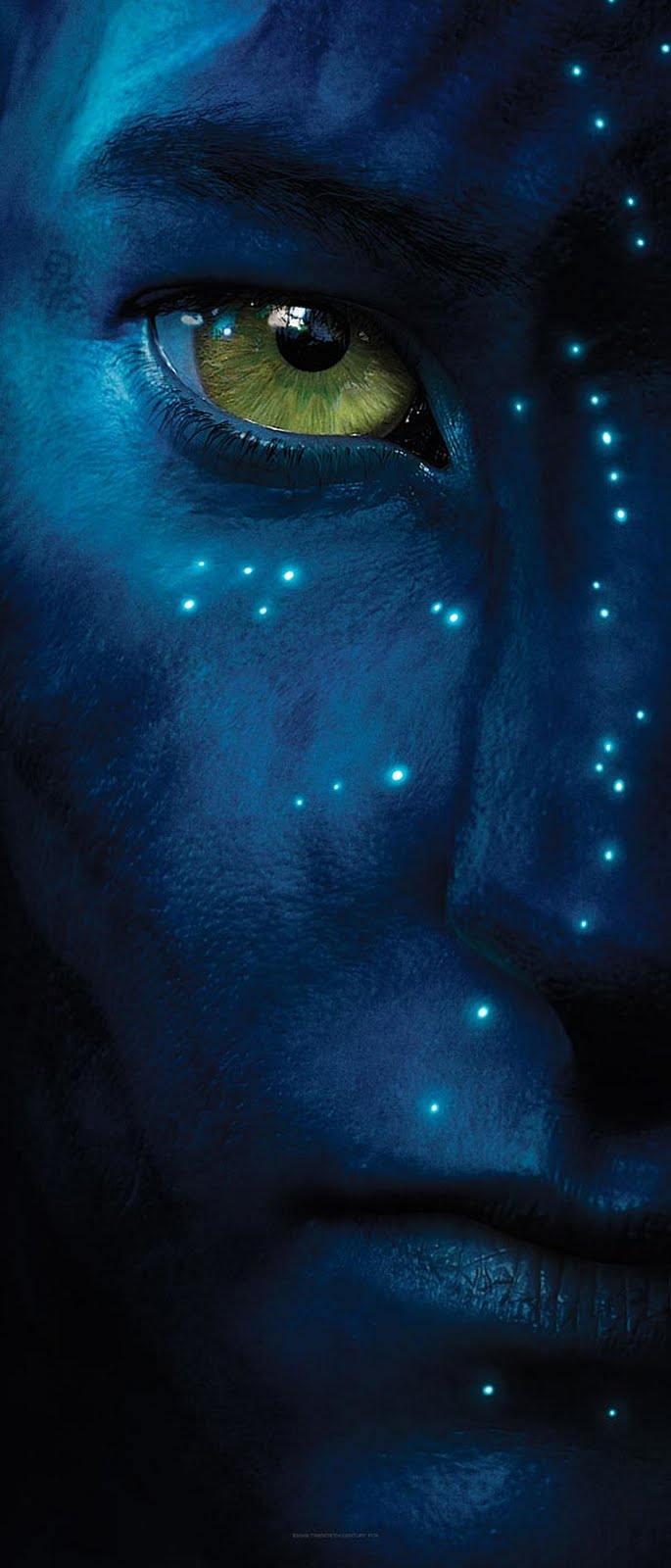 [avatar-photo.jpg]