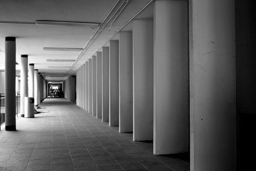 [7290353_366aca0809.jpg]