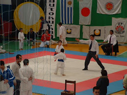 Sensei Fabio Balsa