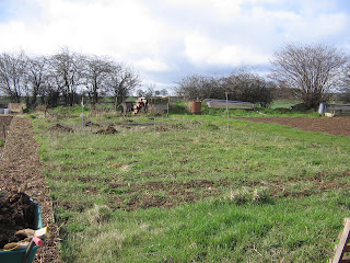 derelict land