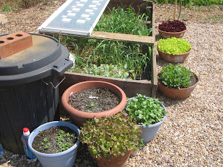 salad tubs
