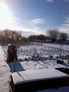 snowy allotment