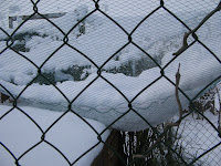 snowy allotments