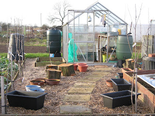 salad growing area