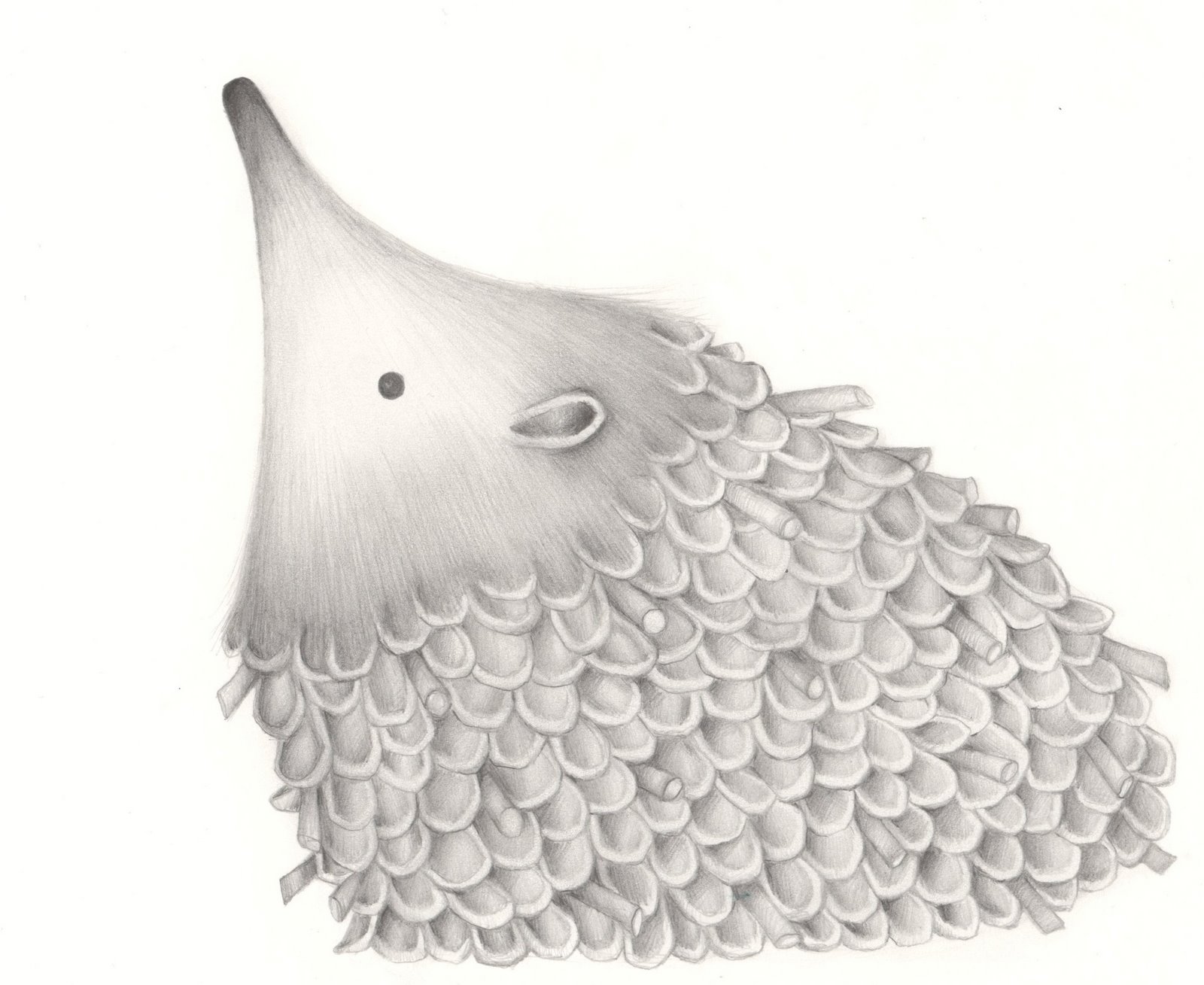 [hedgie.jpg]
