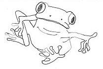 The Controversial Tree Toad