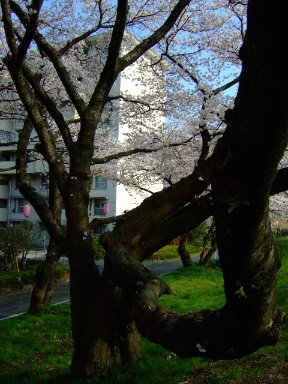 [DSCF7653.JPG]