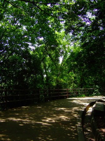 [DSCF8457.JPG]