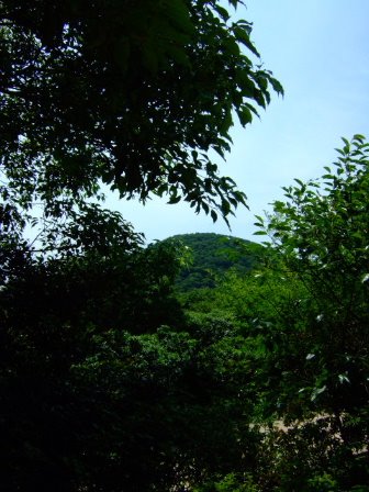 [DSCF8505.JPG]