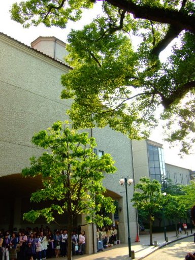 [DSCF8229.JPG]