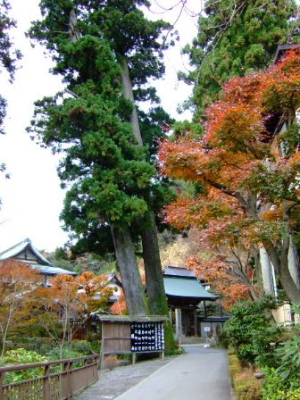 [DSCF9701.JPG]