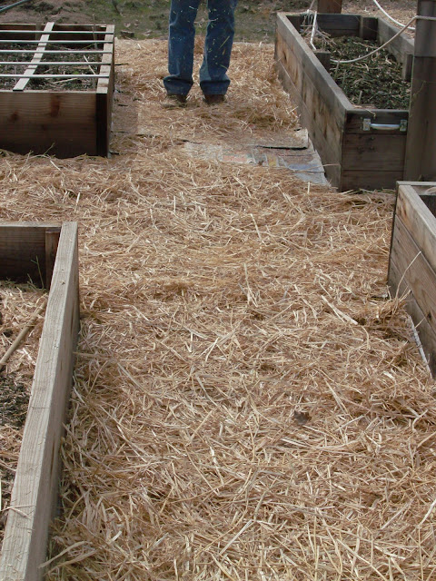 Homestead Revival: Preparing The Garden Path