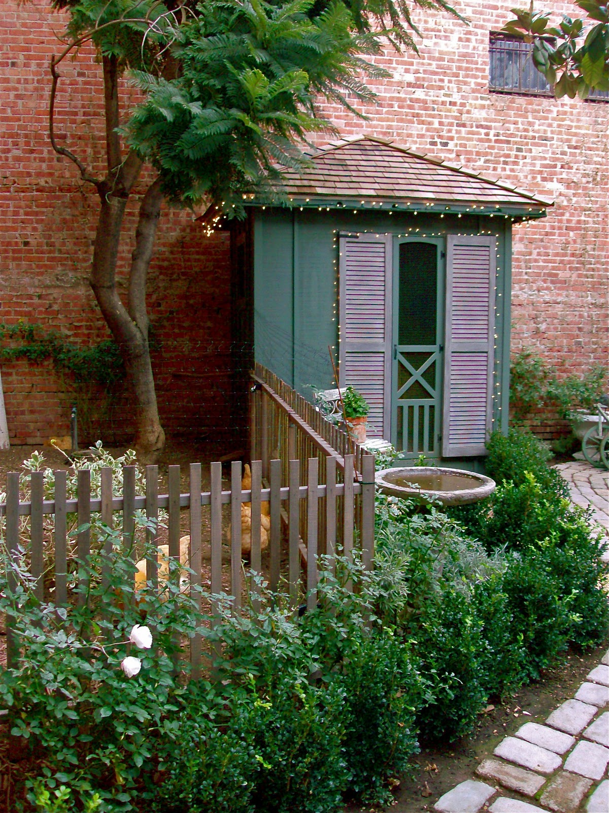 Homestead Revival Urban Chicks