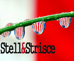 stell&strisce