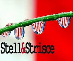 stell&strisce