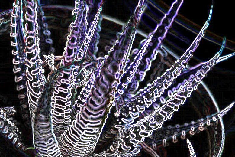 [blgIMG_3407gmpd.JPG]