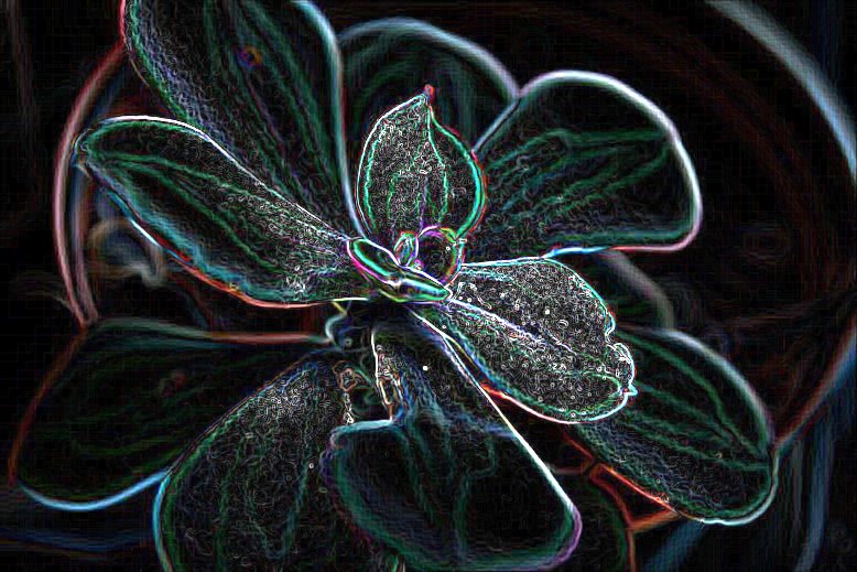 [blgIMG_3406gmpd.JPG]