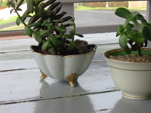 [carbootIMG_3131-s.JPG]