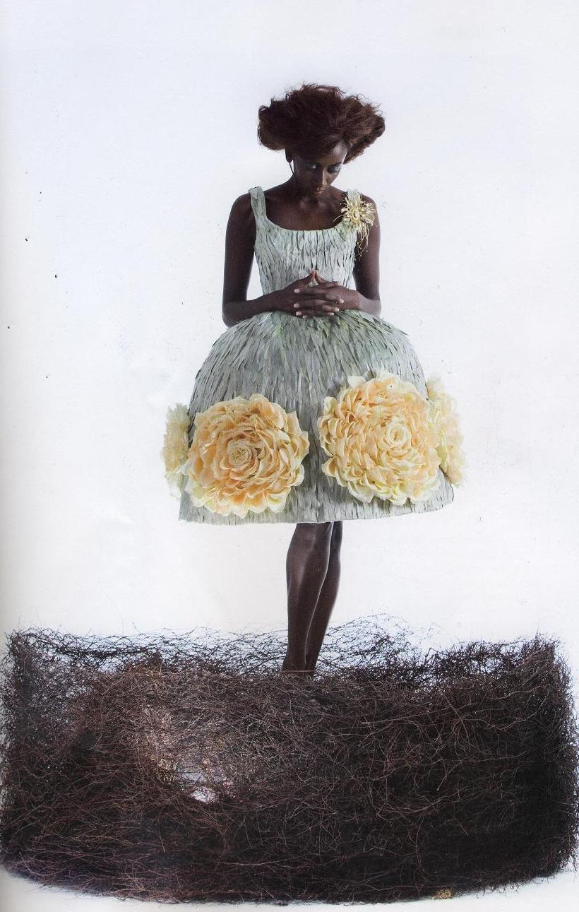 [fg-smallScan10015.JPG]