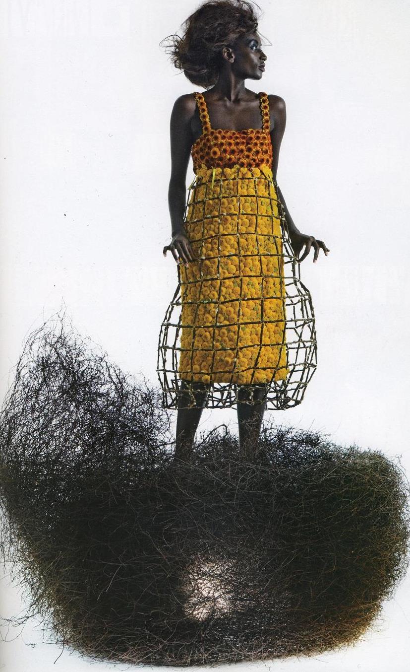 [fg-smallScan10017.JPG]