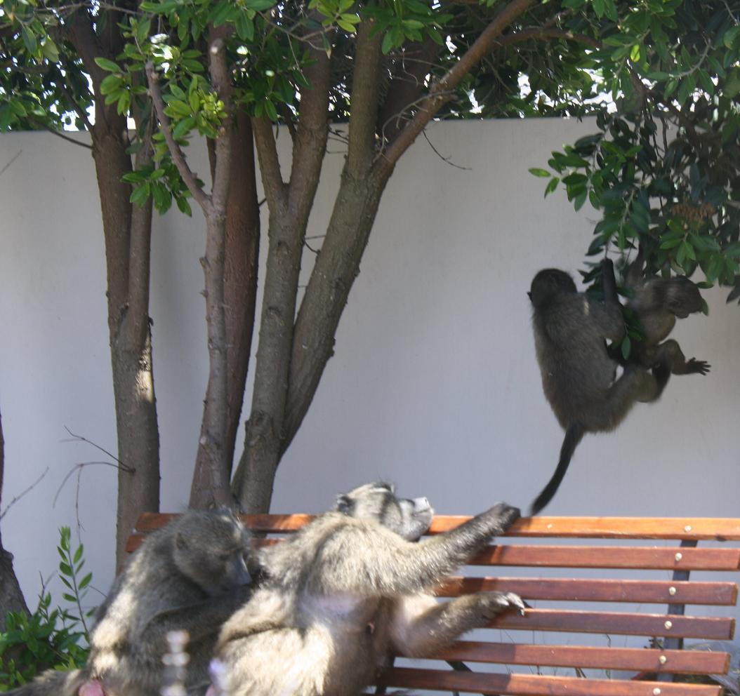 [bbncrpIMG_1004.JPG]