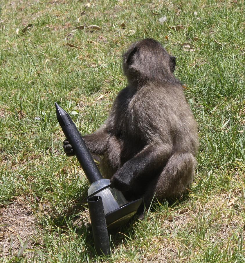 [bbncrpIMG_1008.JPG]