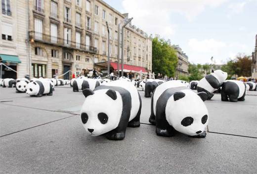 [48c68425e2a62_normal.jpg]