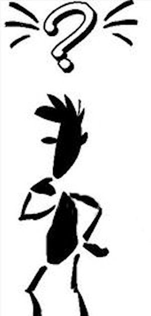 Thinking Like Two, Or Maybe More.....