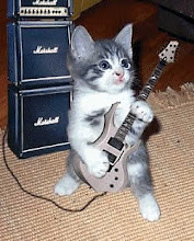 gato rockero