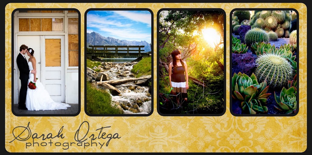 Sarah Ortega Photography Blog