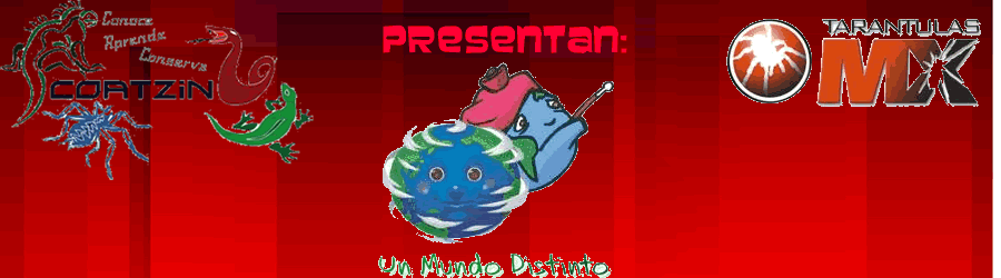 Un Mundo Distinto