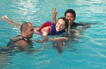 Swim with Dolphin