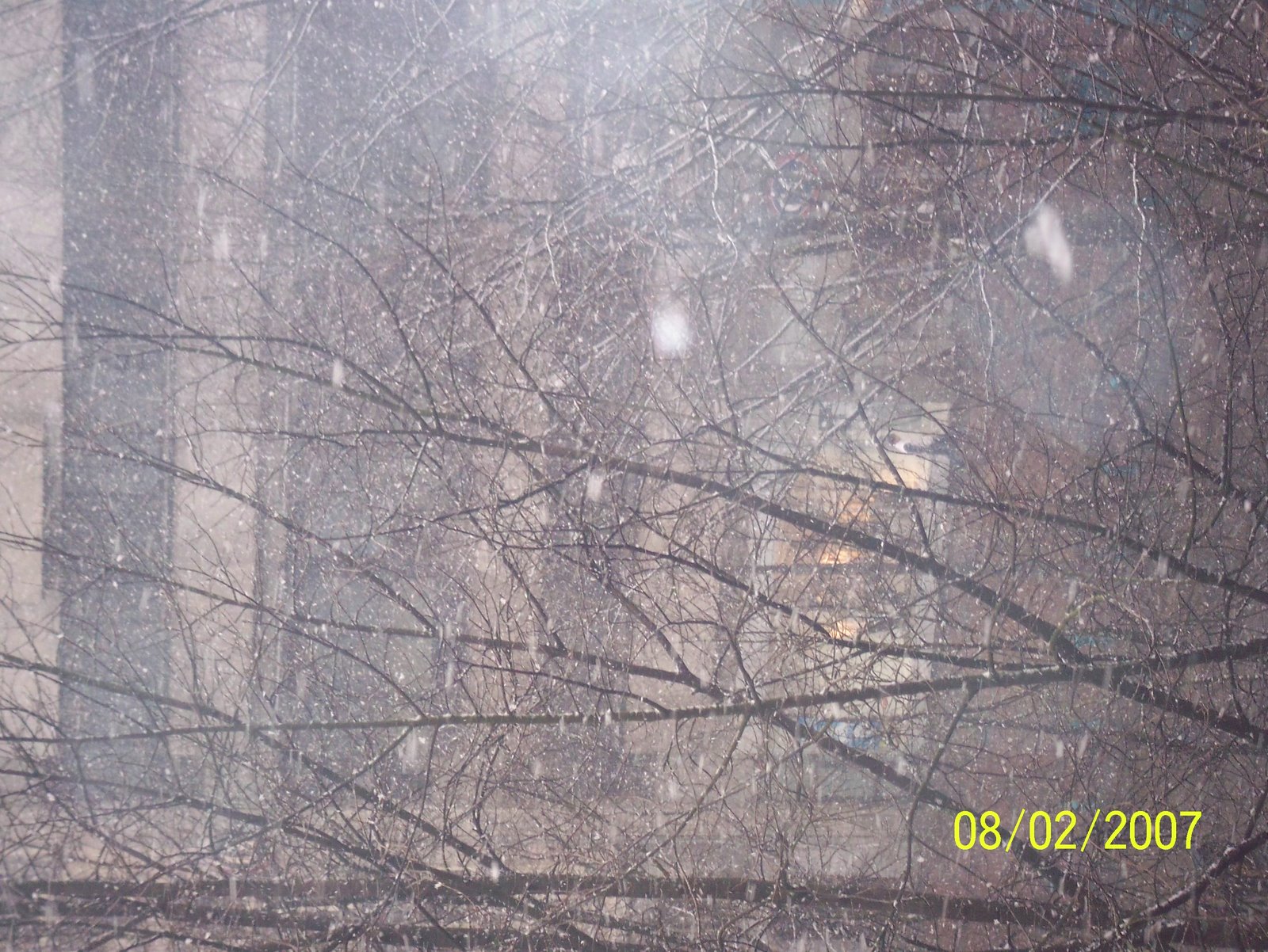 [101_0273.JPG]