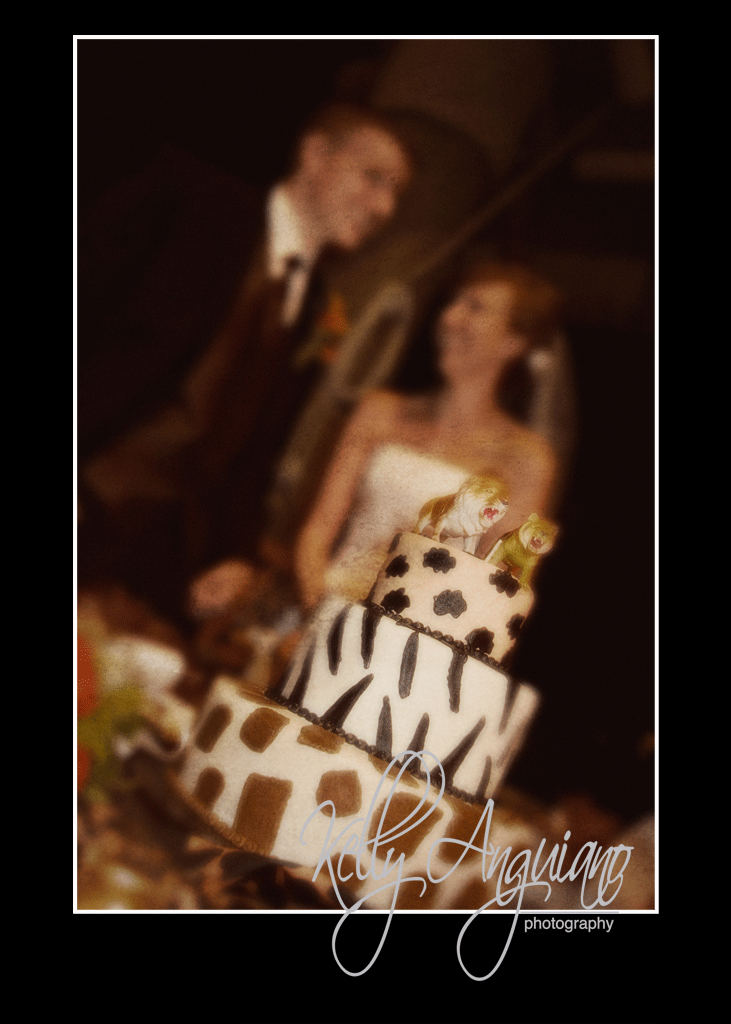 [Andrea-Blog-20.gif]