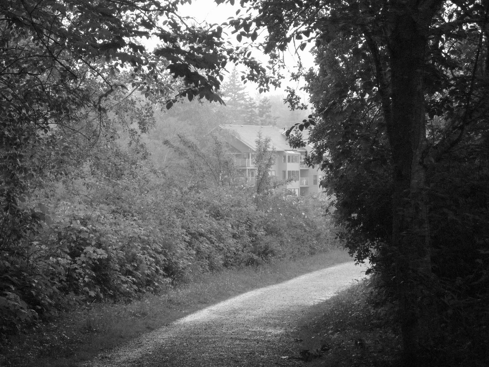 Walking Home