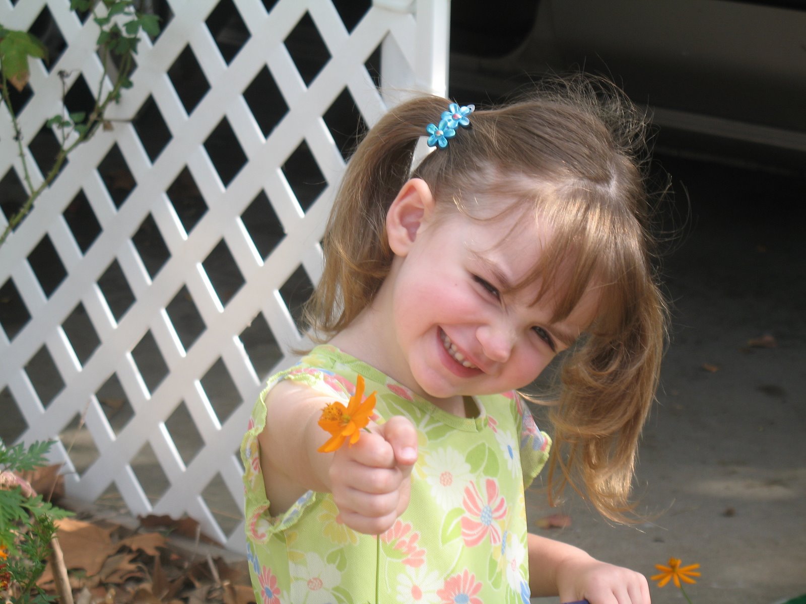 [IMG_0810-776657.JPG]