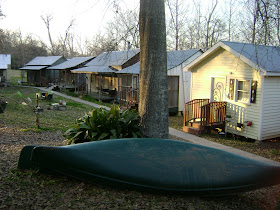 My Wild Louisiana March 2010