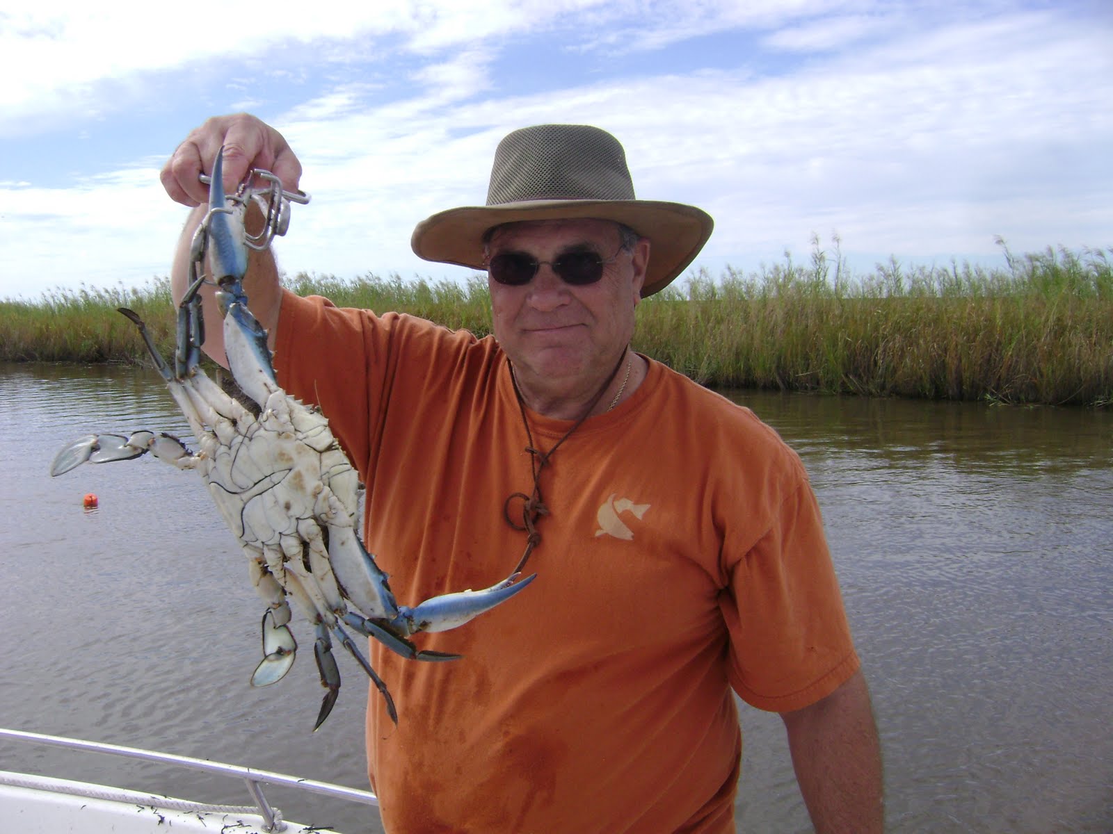 Louisiana Swamp Tours: The Big Picture