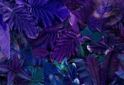 [Image: alien_plants.jpg]