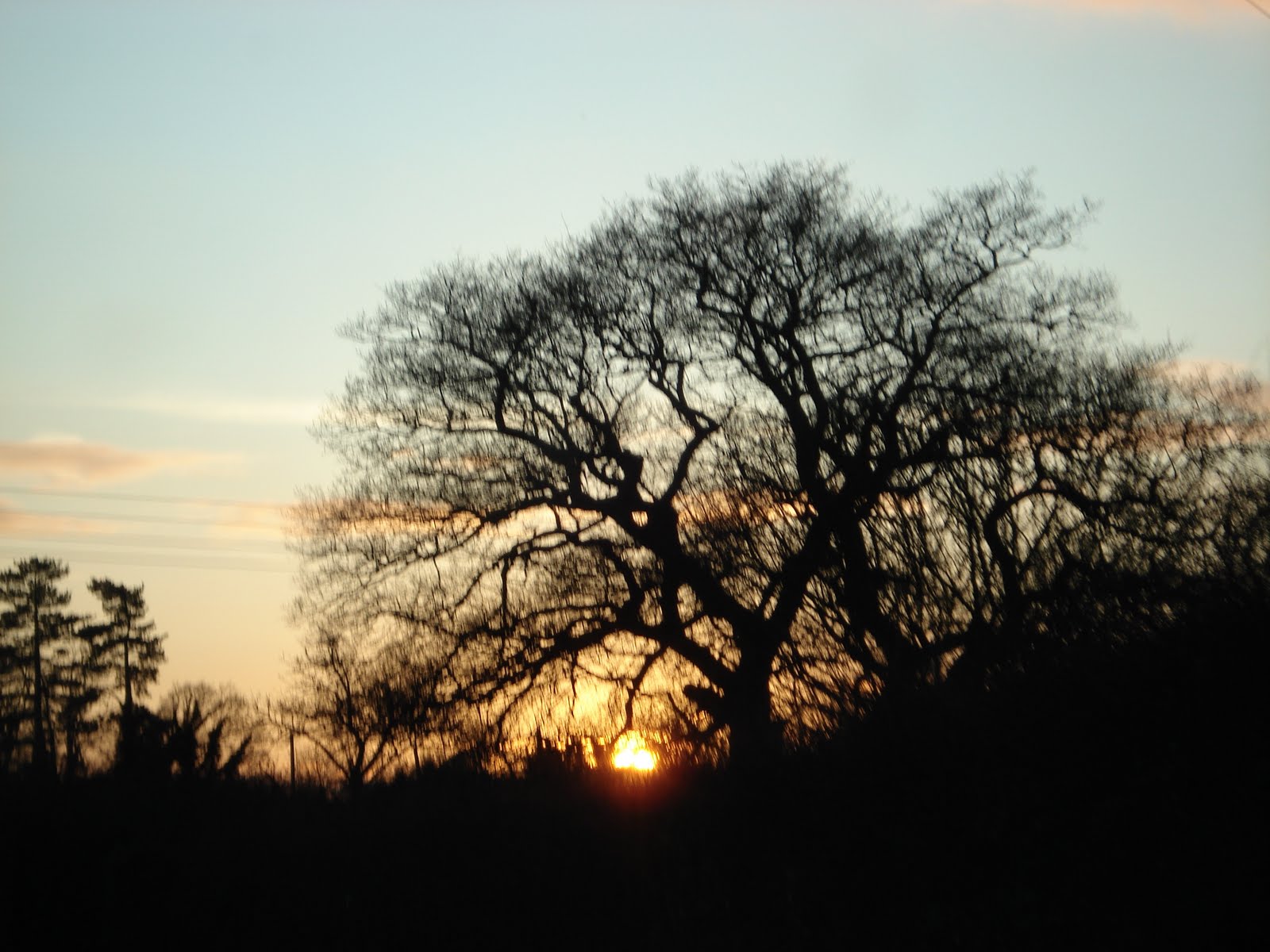 [DSC03221.JPG]