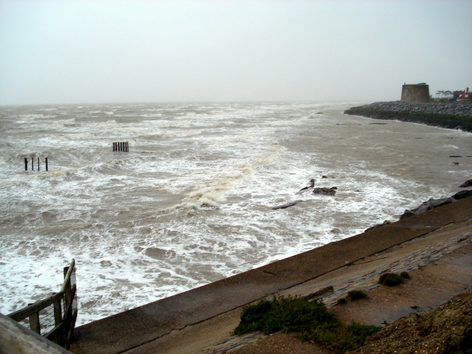 [DSC02427A.jpg]